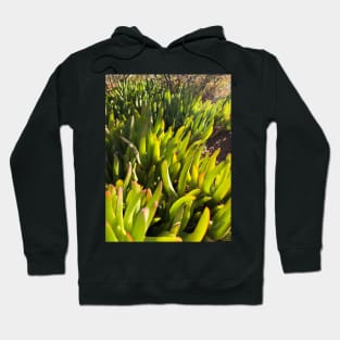 Greenery Hoodie